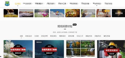 爆料新闻 视频素材库在哪,爆料新闻视频素材库的秘密藏身之地